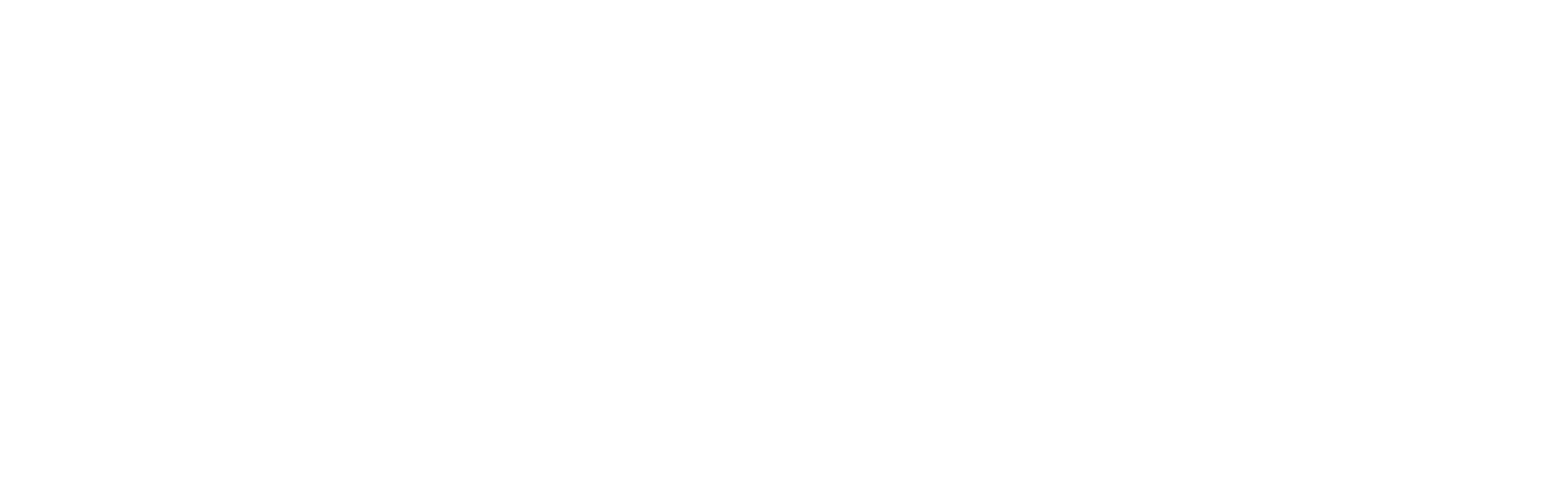 benZ Logo